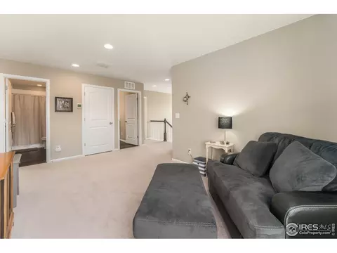 5581 Carmon Dr, Windsor, CO 80550 photo 26