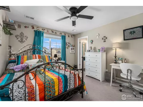 5581 Carmon Dr, Windsor, CO 80550 photo 21