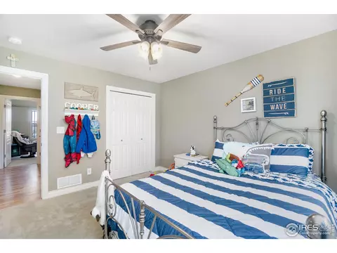 1433 Red Fox Cir, Severance, CO 80550 photo 16