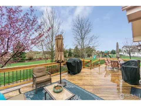 1433 Red Fox Cir, Severance, CO 80550 photo 10