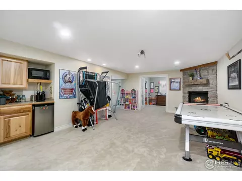 1433 Red Fox Cir, Severance, CO 80550 photo 23