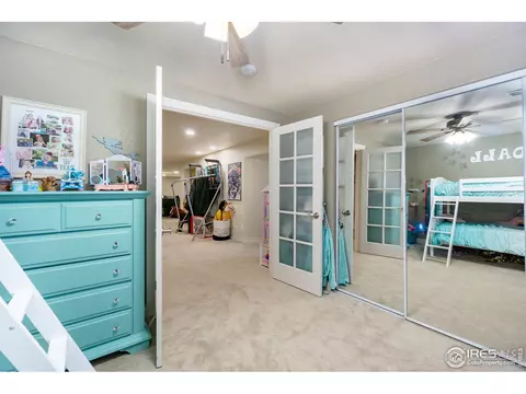 1433 Red Fox Cir, Severance, CO 80550 photo 25