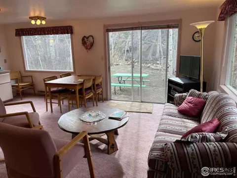 704 Riverside Dr, Lyons, CO 80540 photo 7