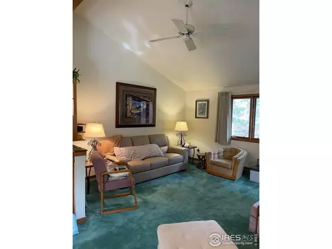 704 Riverside Dr, Lyons, CO 80540 photo 22