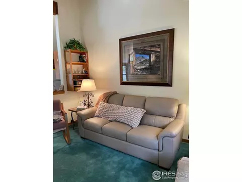 704 Riverside Dr, Lyons, CO 80540 photo 21