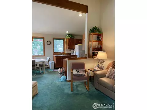 704 Riverside Dr, Lyons, CO 80540 photo 14