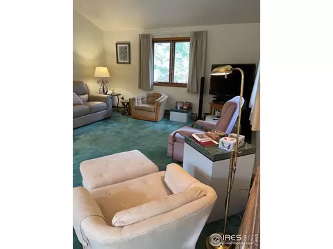 704 Riverside Dr, Lyons, CO 80540 photo 12
