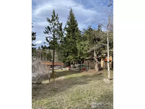 704 Riverside Dr, Lyons, CO 80540 photo 25
