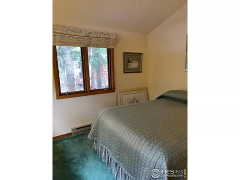 704 Riverside Dr, Lyons, CO 80540 photo 19