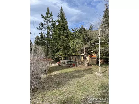 704 Riverside Dr, Lyons, CO 80540 photo 24