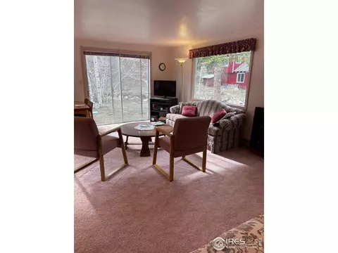 704 Riverside Dr, Lyons, CO 80540 photo 9