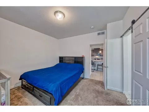 17918 E 54th Ave, Denver, CO 80249 photo 9