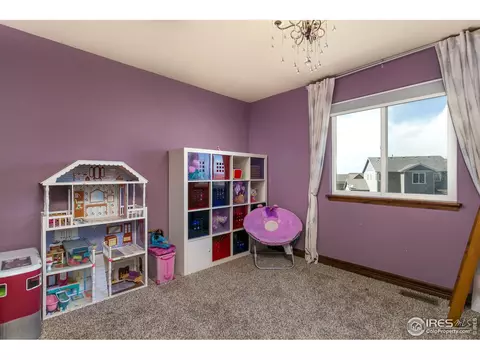 7406 Rosecroft Dr, Windsor, CO 80550 photo 19