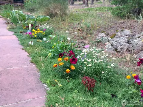 900 Spruce Dr, Lyons, CO 80540 photo 37