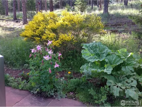 900 Spruce Dr, Lyons, CO 80540 photo 39