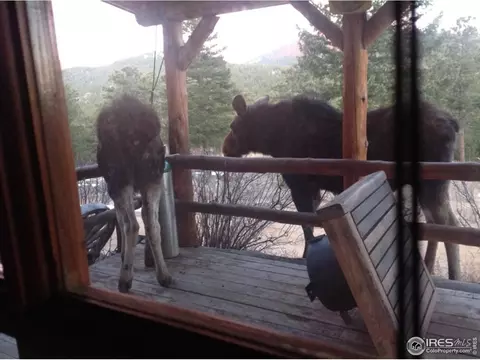 900 Spruce Dr, Lyons, CO 80540 photo 38