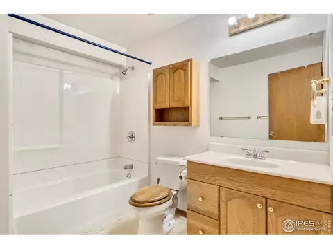 217 E Iowa Ave, Berthoud, CO 80513 photo 16
