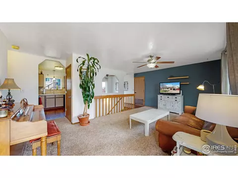 110 Rose Ct, Windsor, CO 80550 photo 4