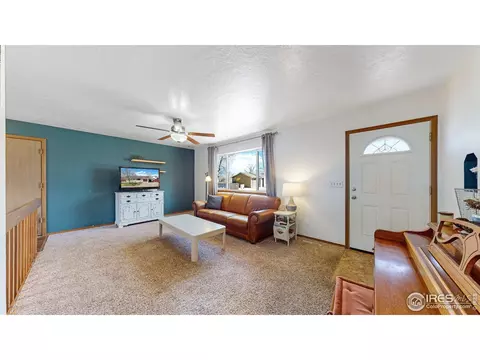 110 Rose Ct, Windsor, CO 80550 photo 5