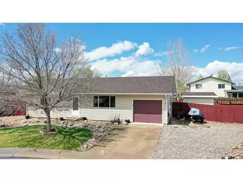 110 Rose Ct, Windsor, CO 80550 photo 1