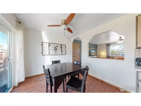 110 Rose Ct, Windsor, CO 80550 photo 10