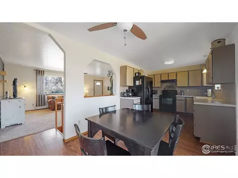 110 Rose Ct, Windsor, CO 80550 photo 9