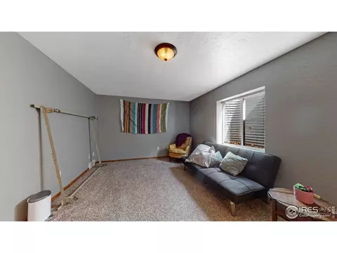 110 Rose Ct, Windsor, CO 80550 photo 28