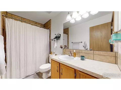 110 Rose Ct, Windsor, CO 80550 photo 21