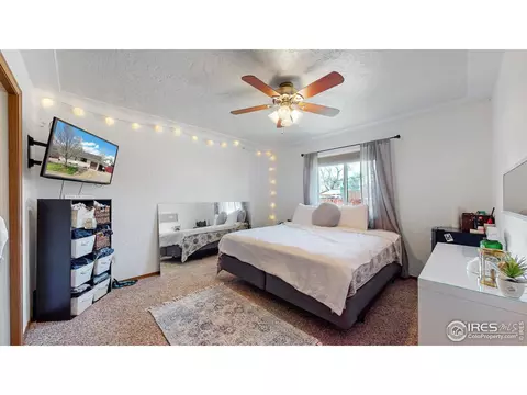 110 Rose Ct, Windsor, CO 80550 photo 16