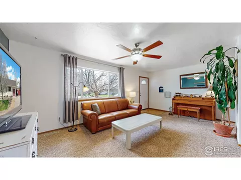 110 Rose Ct, Windsor, CO 80550 photo 6