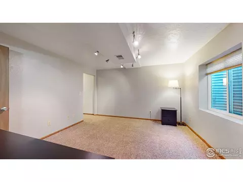 110 Rose Ct, Windsor, CO 80550 photo 25