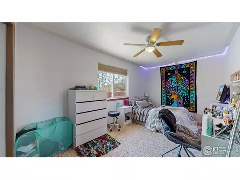110 Rose Ct, Windsor, CO 80550 photo 19