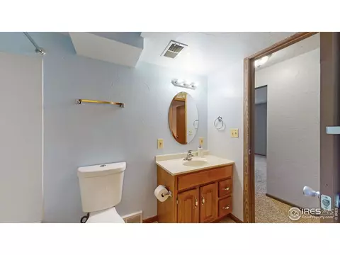 110 Rose Ct, Windsor, CO 80550 photo 31