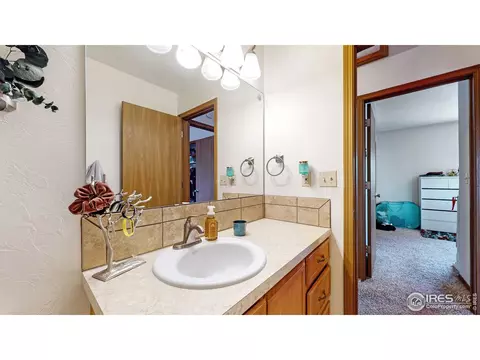 110 Rose Ct, Windsor, CO 80550 photo 22