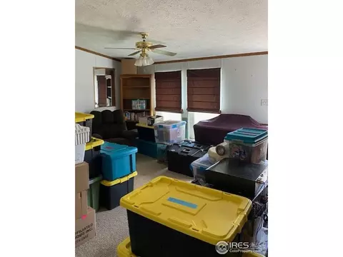 307 Pine Ave, Wiggins, CO 80654 photo 5