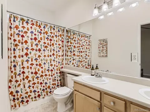 20943 E 40th Pl, Denver, CO 80249 photo 16