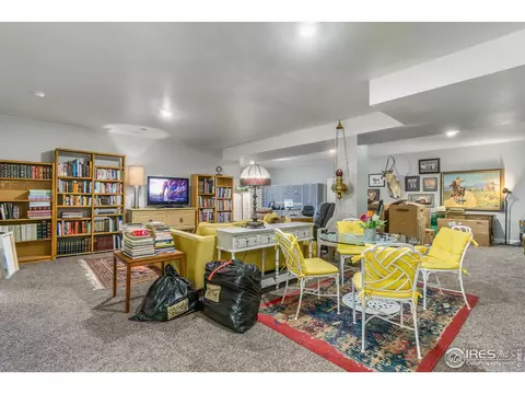6041 Gannet Dr, Timnath, CO 80547 photo 25