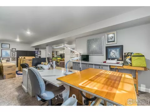 6041 Gannet Dr, Timnath, CO 80547 photo 26