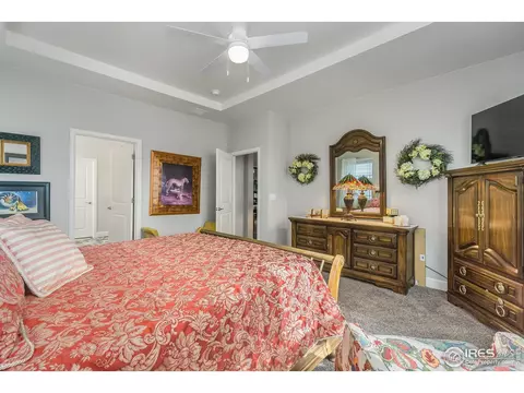 6041 Gannet Dr, Timnath, CO 80547 photo 28
