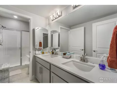 6041 Gannet Dr, Timnath, CO 80547 photo 29