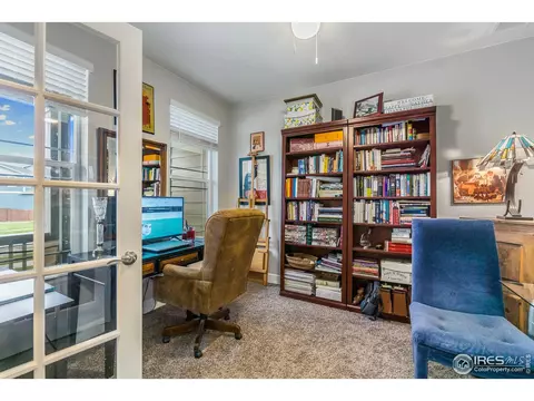 6041 Gannet Dr, Timnath, CO 80547 photo 16