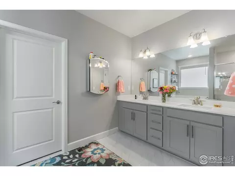 6041 Gannet Dr, Timnath, CO 80547 photo 23