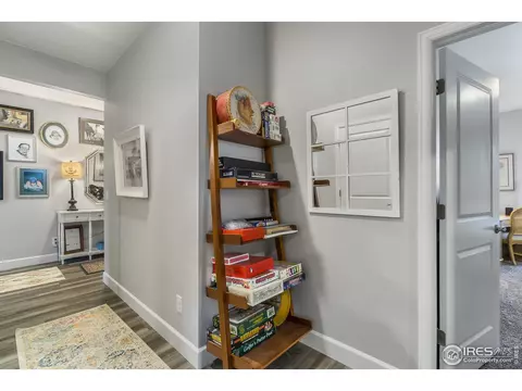 6041 Gannet Dr, Timnath, CO 80547 photo 17