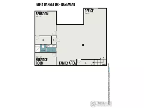 6041 Gannet Dr, Timnath, CO 80547 photo 37