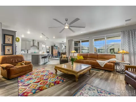 6041 Gannet Dr, Timnath, CO 80547 photo 13