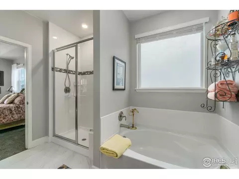 6041 Gannet Dr, Timnath, CO 80547 photo 19