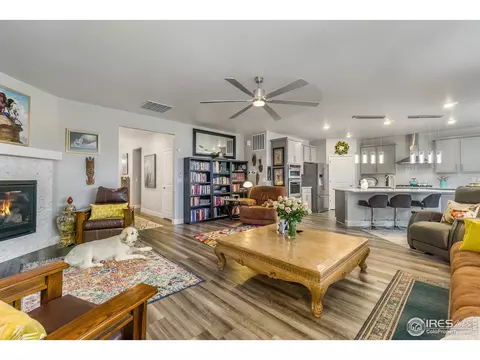 6041 Gannet Dr, Timnath, CO 80547 photo 15