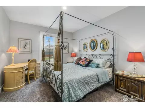 6041 Gannet Dr, Timnath, CO 80547 photo 18