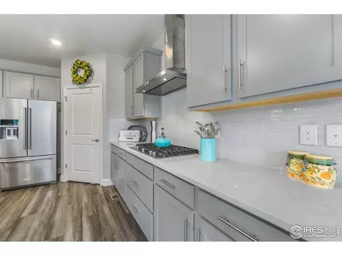 6041 Gannet Dr, Timnath, CO 80547 photo 11