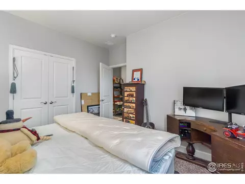 6041 Gannet Dr, Timnath, CO 80547 photo 22